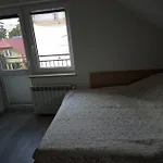 Goscinne Tomasz ミエンジボジェ